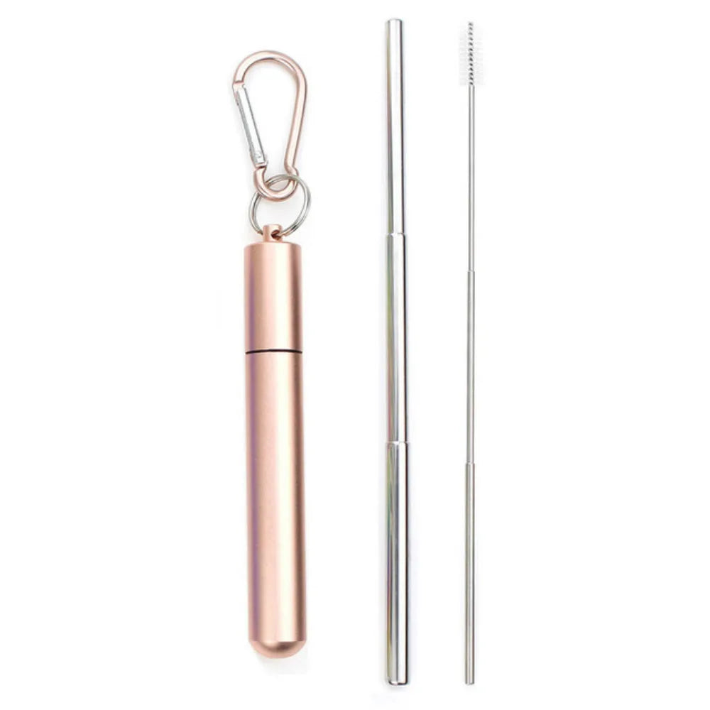 Portable Reusable Telescopic Stainless Steel Metal Straw With Cleaning Brush and Travel Case